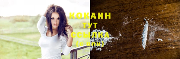 эйфоретик Баксан