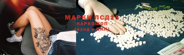 эйфоретик Баксан