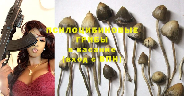 не бодяженный Балахна