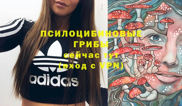 эйфоретик Баксан