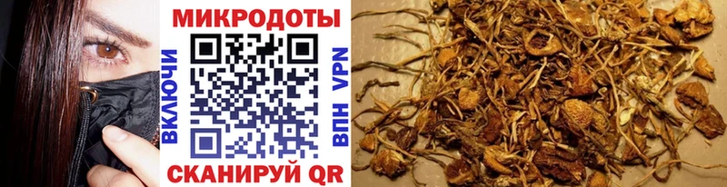 Галлюциногенные грибы MAGIC MUSHROOMS  площадка формула  Гремячинск  KRAKEN ТОР 